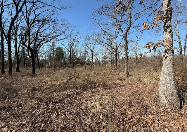 Photo 4 of Land for sale at 0 Highway 63, Whitesboro, OK 74577 | MLS# 2610818 | Listing updated on 2026-09-18