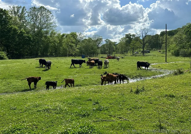 Photo 3 of Land for sale at 15060 County Rd 573, Kansas, OK 74347 | MLS# 2611811 | Listing updated on 2026-05-07
