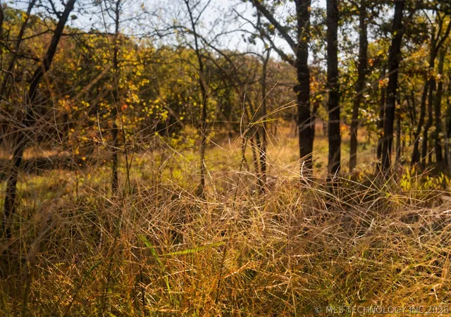 Land for sale at 080 260th Street, Winchester, OK 74421 | MLS# 2611291