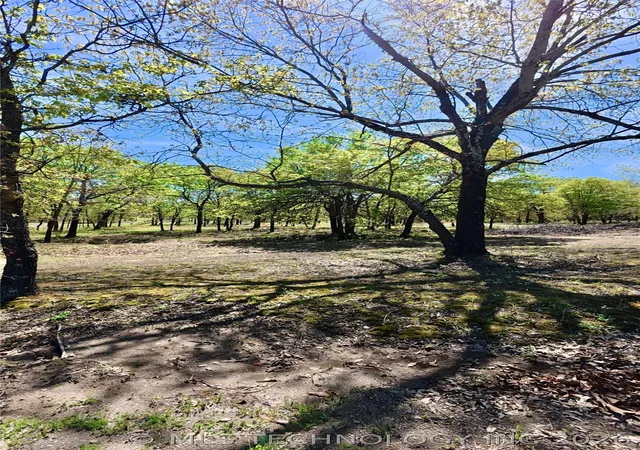 Photo 3 of Land for sale at 19 Duchess Crk, Porum, OK 74455 | MLS# 2612260 | Listing updated on 2026-07-16