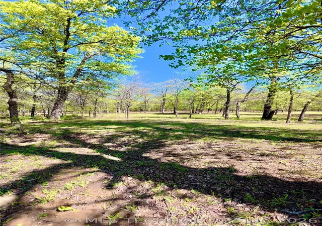 3rd image of 26 Duchess Creek, Porum, OK 74455 | MLS# 2612281