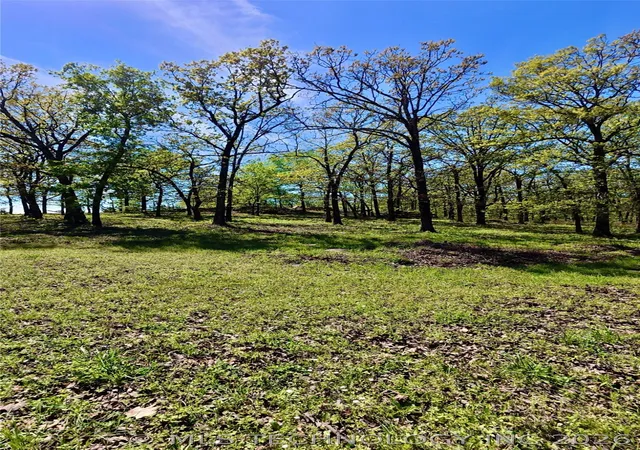 Photo 3 of Land for sale at 4 Duchess Crk, Porum, OK 74455 | MLS# 2612513 | Listing updated on 2026-07-16