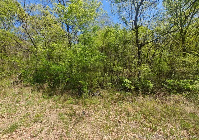 5th image of 31200 S Deer Run Rd, Park Hill, OK 74451 | MLS# 2612490