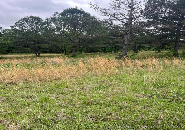 Photo 3 of Land for sale at 1162 N County Rd 4280, Hugo, OK 74743 | MLS# 2612992 | Listing updated on 2026-07-17
