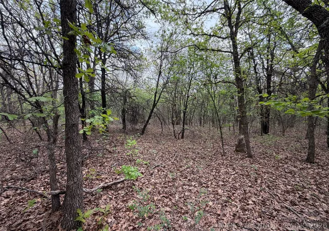 3rd image of 00000 S Berryhill Rd, Jennings, OK 74038 | MLS# 2613444