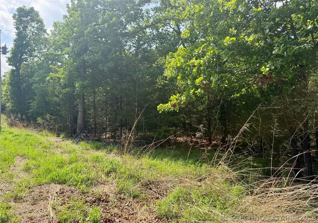 2nd image of 17 Council Tree Dr, Canadian, OK 74425 | MLS# 2613738