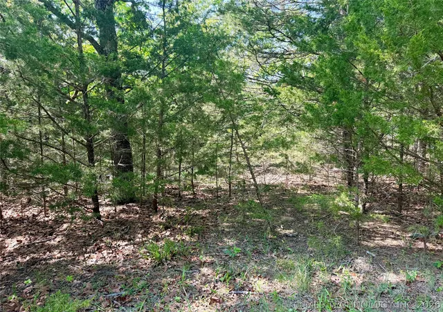 3rd image of 17 Council Tree Dr, Canadian, OK 74425 | MLS# 2613738