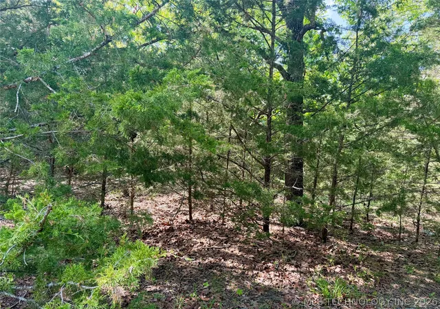 4th image of 17 Council Tree Dr, Canadian, OK 74425 | MLS# 2613738