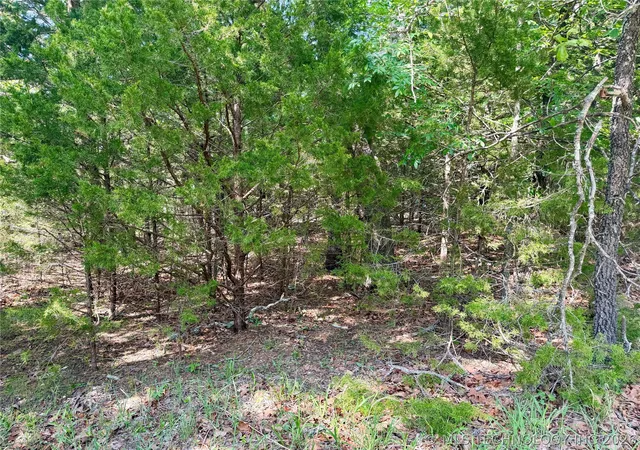 5th image of 17 Council Tree Dr, Canadian, OK 74425 | MLS# 2613738