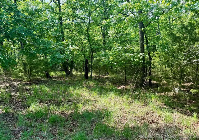 2nd image of (Undisclosed), Canadian, OK 74425 | MLS# 2613739
