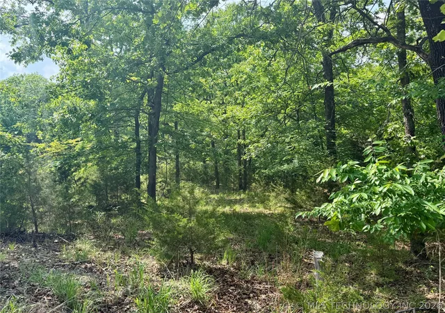 3rd image of (Undisclosed), Canadian, OK 74425 | MLS# 2613739