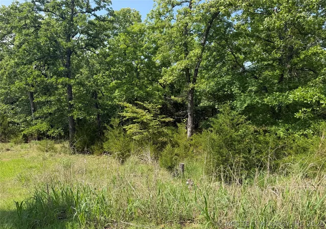 5th image of (Undisclosed), Canadian, OK 74425 | MLS# 2613739