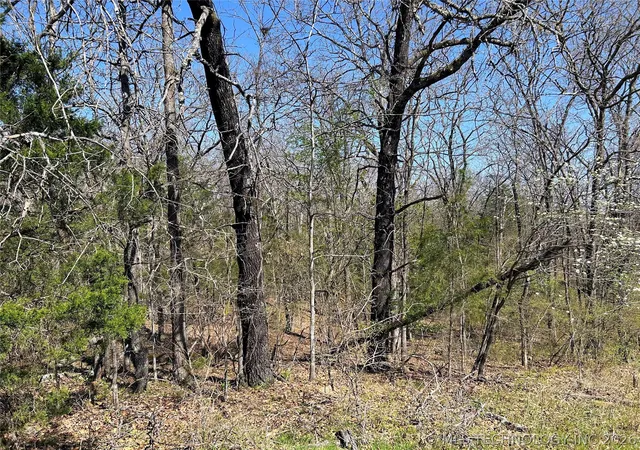 1st image of S Deer Run Rd, Park Hill, OK 74451 | MLS# 2613878