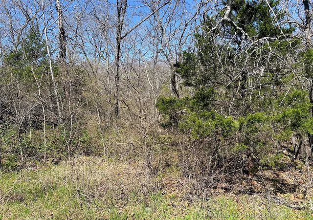 2nd image of S Deer Run Rd, Park Hill, OK 74451 | MLS# 2613878