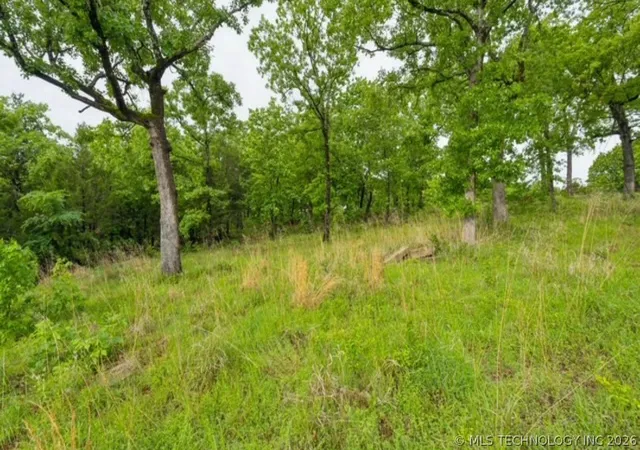 24th image of 91 Patriot Pointe, Eufaula, OK 74432 | MLS# 2613975