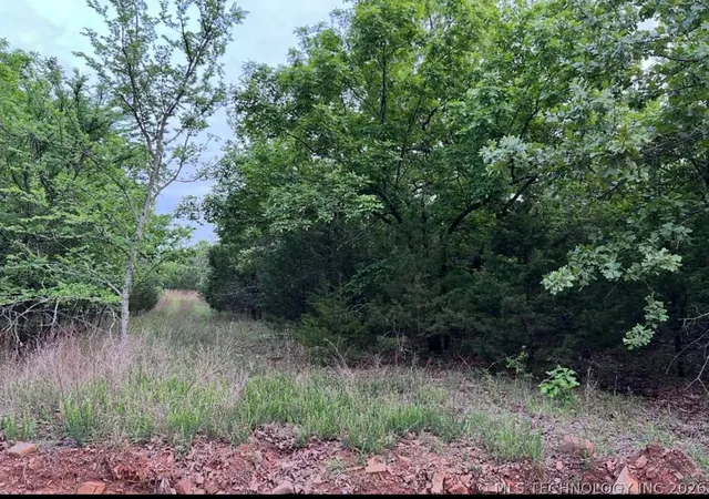 Homes for sale in Mc Alester, OK | 0 Eastern Brooktrout St, Mc Alester, OK 74501 | MLS# 2614311