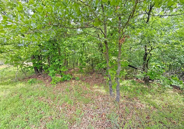 Homes for sale in Eufaula, OK | 11 Mountain View E, Eufaula, OK 74432 | MLS# 2614490