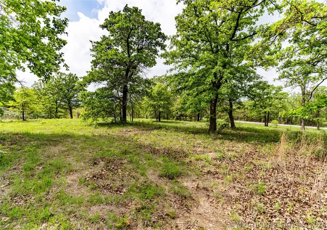 4th image of 0000 W 231St St S, Bristow, OK 74010 | MLS# 2613201