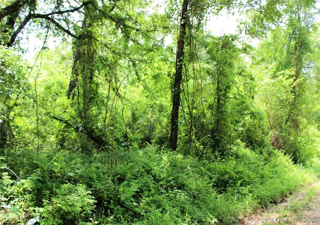 Photo 2 of Land for sale at 20 E 2100 Road, Boswell, OK 74727 | MLS# 2615326 | Listing updated on 2026-08-20