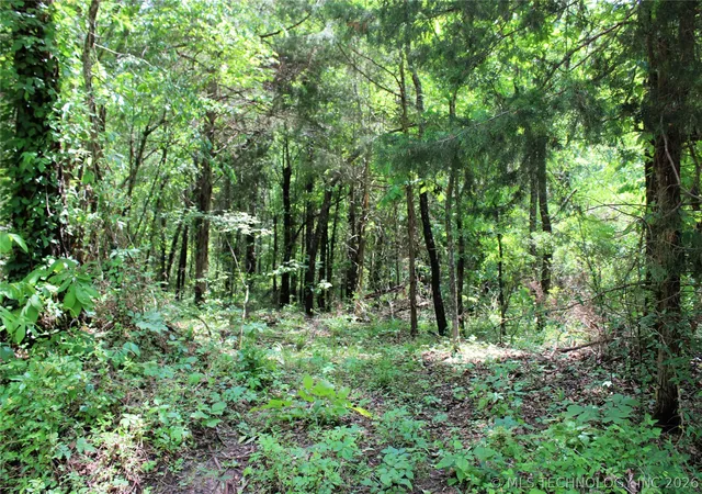 Photo 3 of Land for sale at 20 E 2100 Road, Boswell, OK 74727 | MLS# 2615326 | Listing updated on 2026-08-20