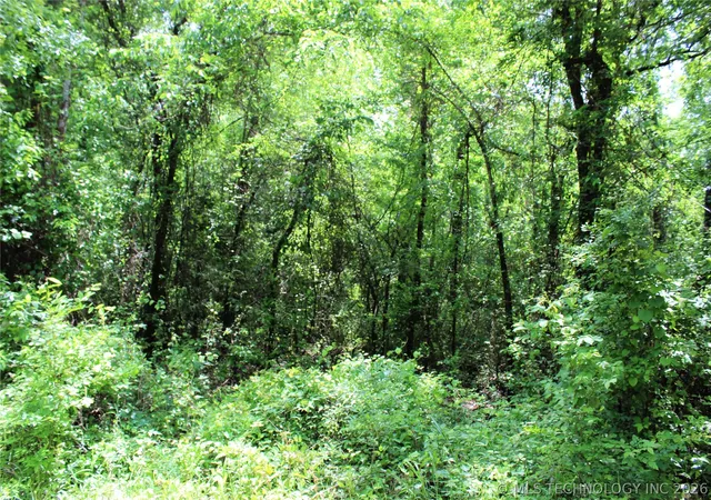 Photo 4 of Land for sale at 20 E 2100 Road, Boswell, OK 74727 | MLS# 2615326 | Listing updated on 2026-08-20