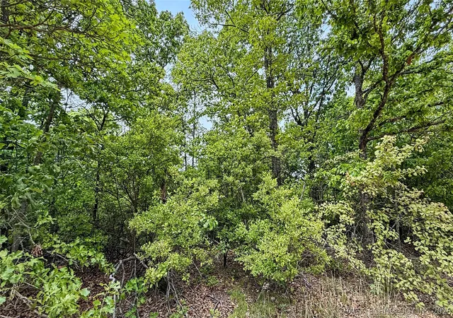 Homes for sale in Proctor, OK | 28077 Lame Deer Ridge Rd, Proctor, OK 74457 | MLS# 2615499