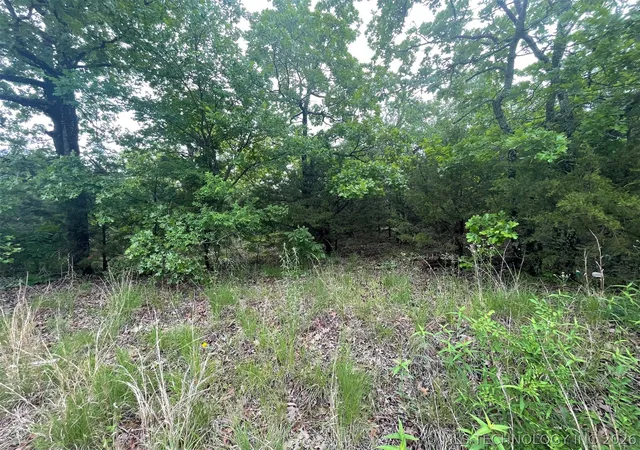 11th image of Bus Loop Rd, Eufaula, OK 74432 | MLS# 2615598