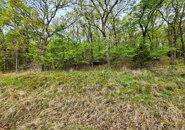 3rd image of 0000 W Sugar Mountain Cir, Park Hill, OK 74451 | MLS# 2615676