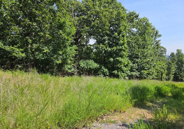 1st image of W Horseshoe Dr, Park Hill, OK 74451 | MLS# 2615879