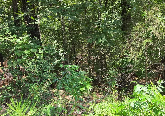 1st image of W Red Rock, Park Hill, OK 74451 | MLS# 2615955