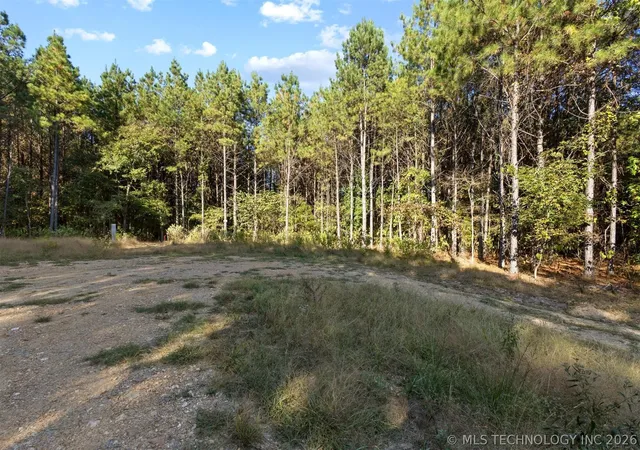 1st image of 134 Wolf Tree Trl, Broken Bow, OK 74728 | MLS# 2615848