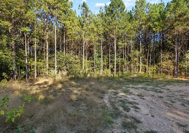 2nd image of 134 Wolf Tree Trl, Broken Bow, OK 74728 | MLS# 2615848