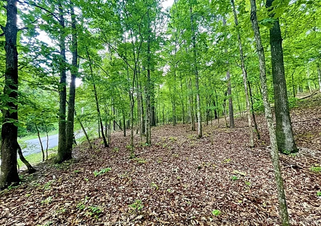 Photo 2 of Land for sale at 8128 W Clear Crk Rd, Kansas, OK 74347 | MLS# 2616462 | Listing updated on 2026-07-29