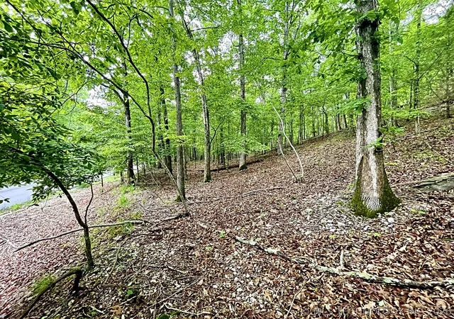Photo 3 of Land for sale at 8128 W Clear Crk Rd, Kansas, OK 74347 | MLS# 2616462 | Listing updated on 2026-07-29