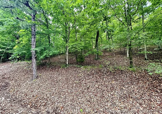 Photo 4 of Land for sale at 8128 W Clear Crk Rd, Kansas, OK 74347 | MLS# 2616462 | Listing updated on 2026-07-29