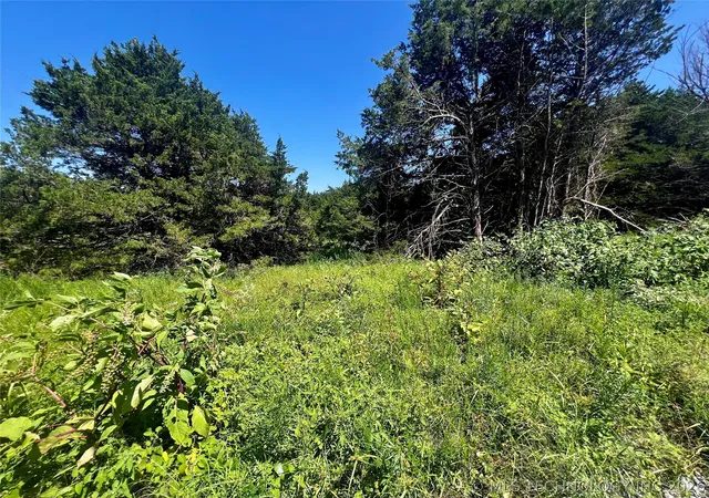 2nd image of 9 Dynamite Rd, Agra, OK 74824 | MLS# 2616619
