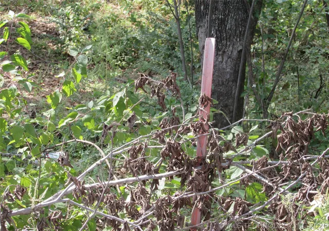 Photo 3 of Land for sale at 123 Gulick St, Muskogee, OK 74401 | MLS# 2616711 | Listing updated on 2026-05-07