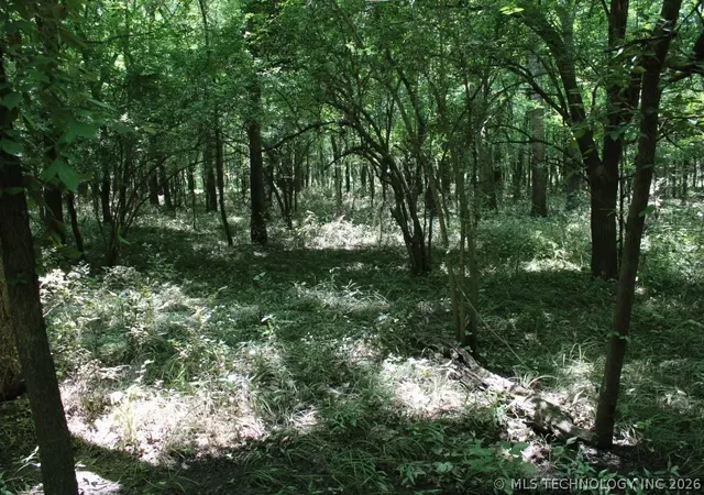 2nd image of 000 John Hope Franklin Blvd, Checotah, OK 74426 | MLS# 2616885