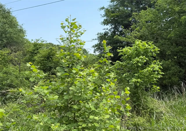 11th image of 4070, Eufaula, OK 74432 | MLS# 2616633