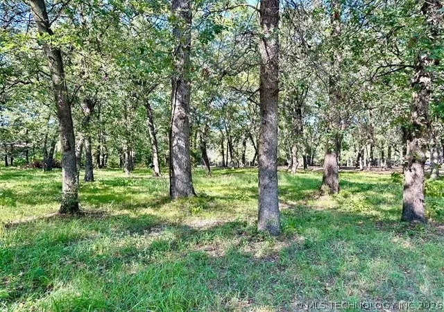 image of 0 Treeline Trl, Kingston, OK 73439 | MLS# 2616804