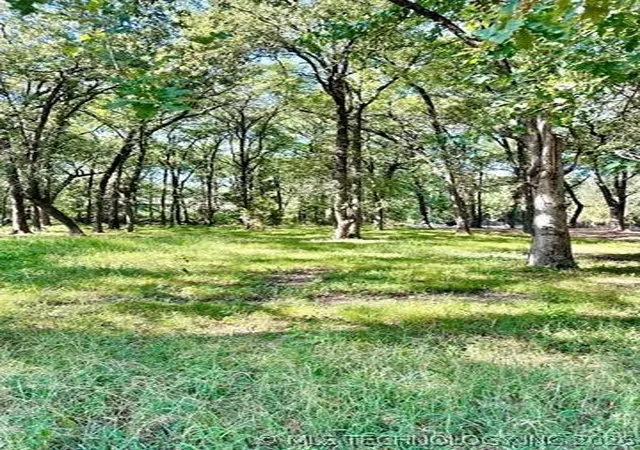 5th image of 0 Treeline Trl, Kingston, OK 73439 | MLS# 2616804