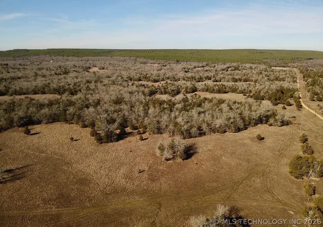 2nd image of Lake, Antlers, OK 74523 | MLS# 2617327