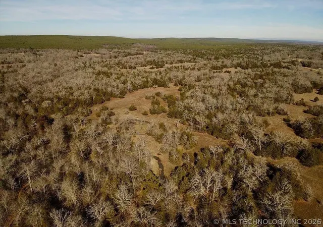 4th image of Lake, Antlers, OK 74523 | MLS# 2617327