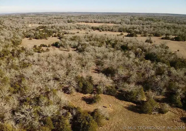 5th image of Lake, Antlers, OK 74523 | MLS# 2617327