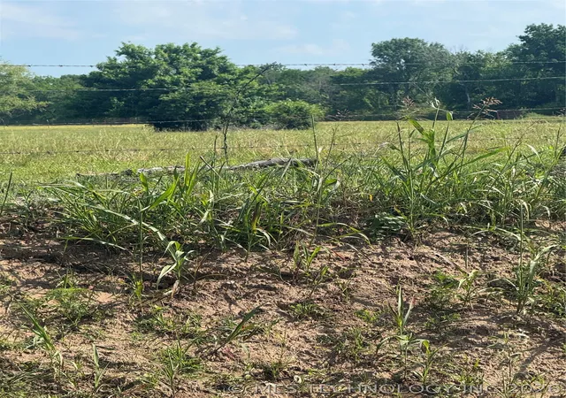 Photo 3 of Land for sale at E Harris Rd, Muskogee, OK 74403 | MLS# 2617589 | Listing updated on 2026-05-13