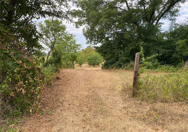 Photo 4 of Land for sale at 0000 Mac Frazier Rd, Leon, OK 73441 | MLS# 2617944 | Listing updated on 2026-08-20