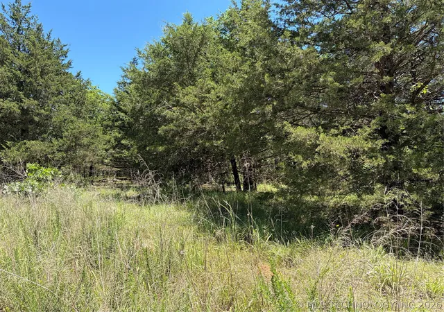 Homes for sale in Moyers, OK | John'S Valley Rd, Moyers, OK 74557 | MLS# 2618080