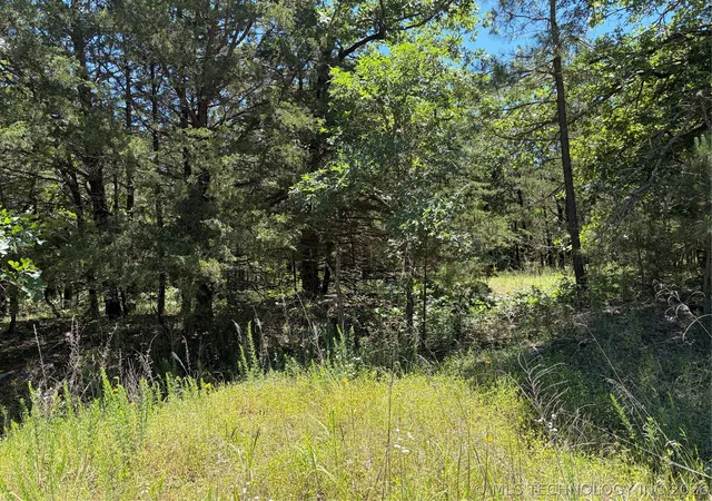 Homes for sale in Moyers, OK | John'S Valley Rd, Moyers, OK 74557 | MLS# 2618080