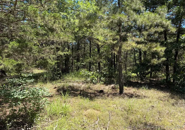 Homes for sale in Moyers, OK | John'S Valley Rd, Moyers, OK 74557 | MLS# 2618080