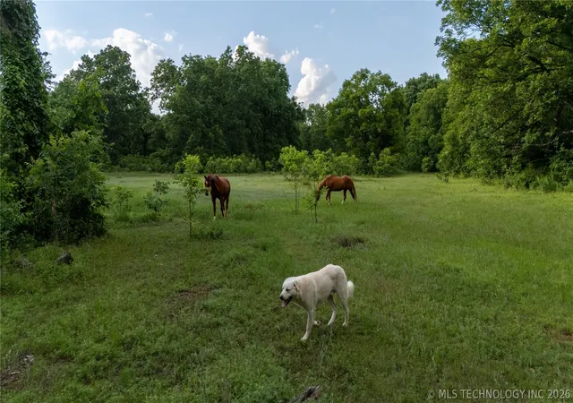 Homes for sale in Asher, OK | 38956 Hwy 39, Asher, OK 74826 | MLS# 2618083